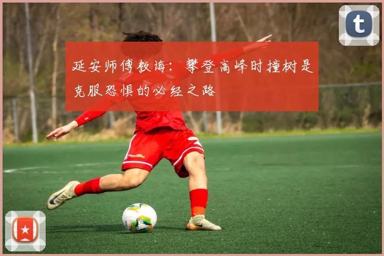 延安师傅教诲：攀登高峰时撞树是克服恐惧的必经之路